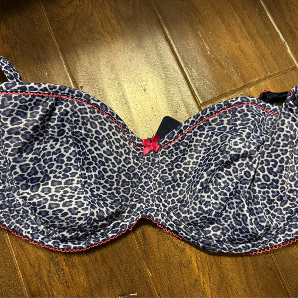 Cleo bra